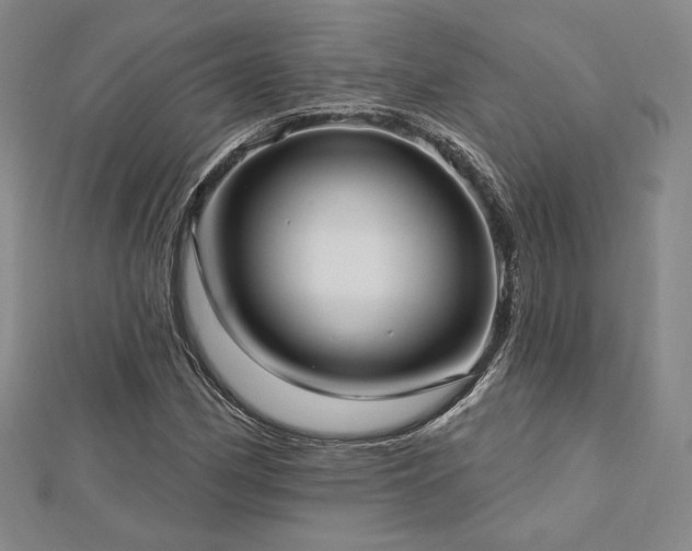X0000113021162200908271427