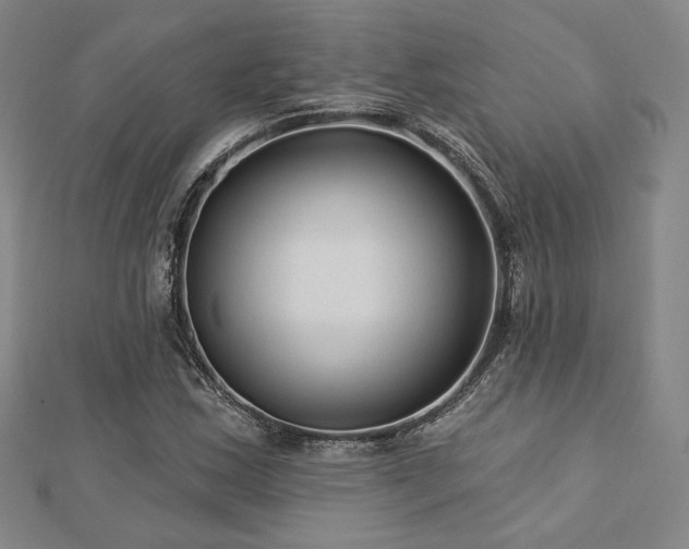 X0000113021163200908271427