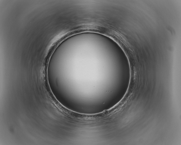 X0000113021164200908271427