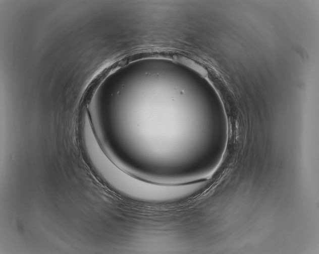 X0000113021165200908271427