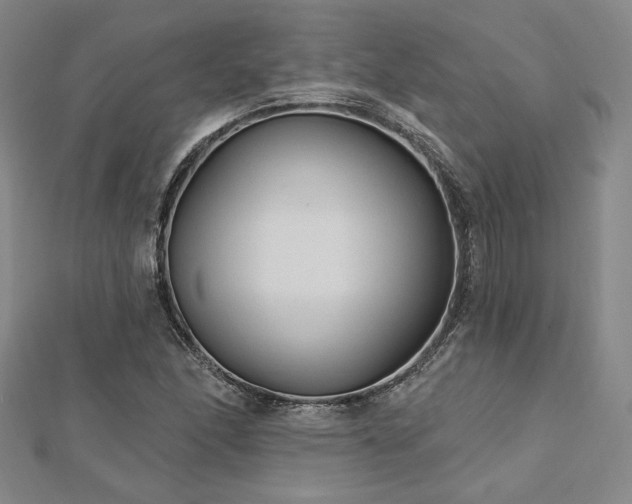 X0000113021166200908271427