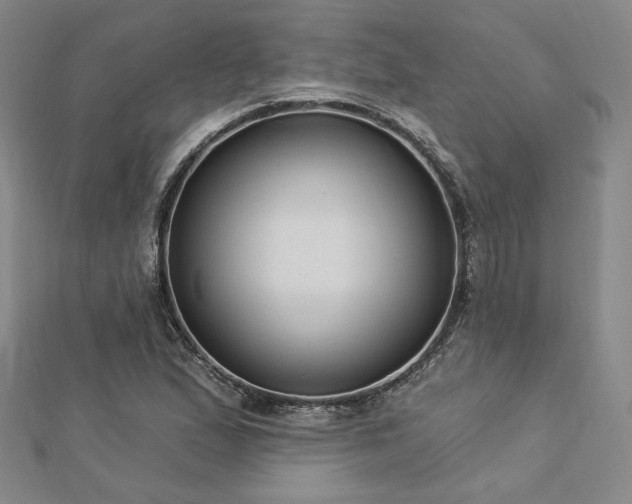 X0000113021167200908271427