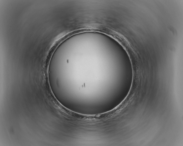 X0000113021168200908271427
