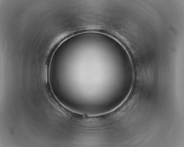 X0000113021171200908271427