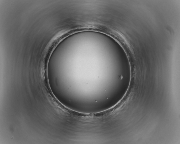 X0000113021172200908271427