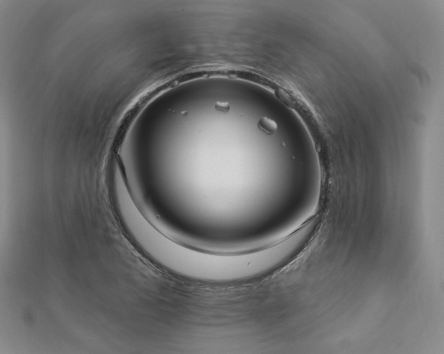 X0000113021173200908271427