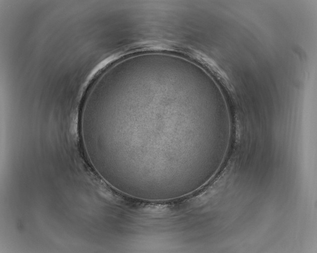 X0000113021174200908271427