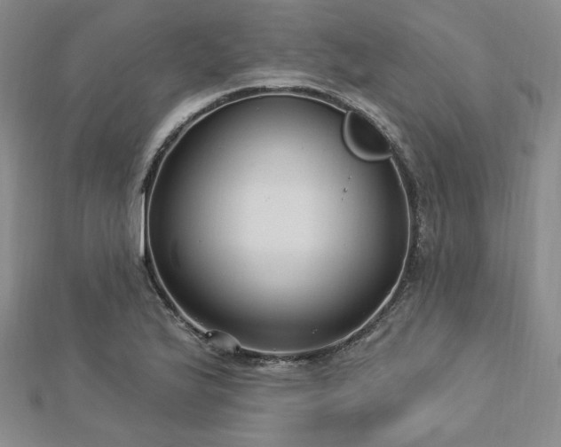 X0000113021175200908271427