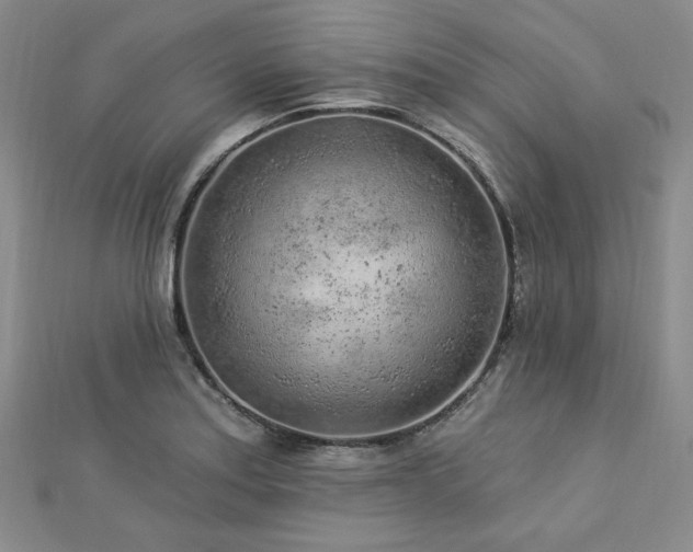 X0000113021179200908271427