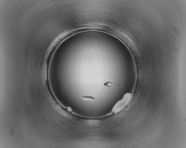 X0000113021180200908271427