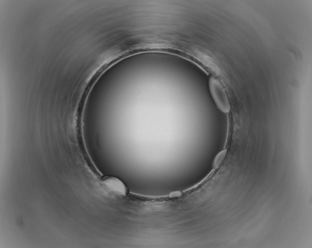 X0000113021181200908271427