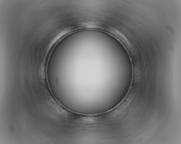 X0000113021182200908271427
