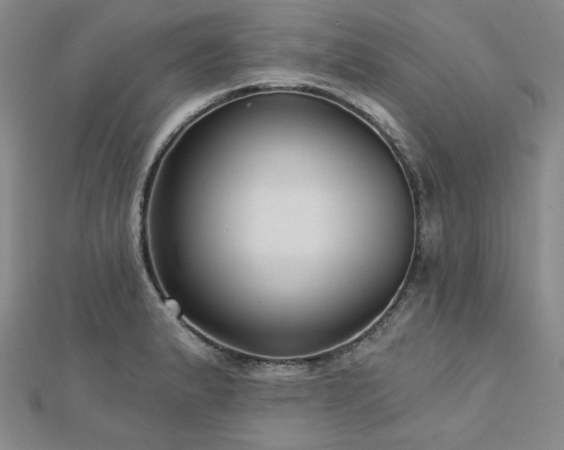 X0000113021183200908271427