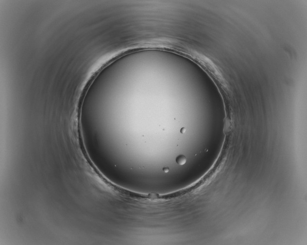 X0000113021184200908271427