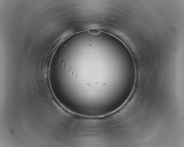 X0000113021185200908271427