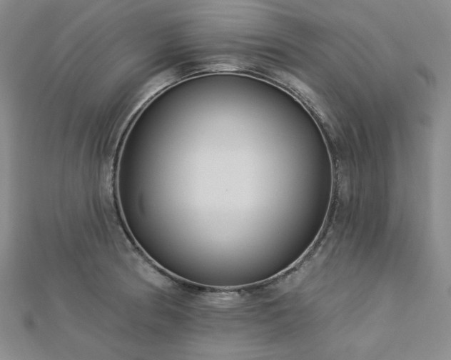 X0000113021186200908271427