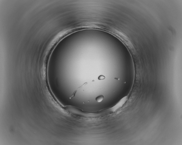 X0000113021188200908271427