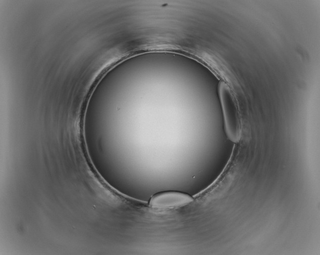 X0000113021189200908271427