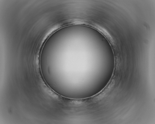 X0000113021190200908271427