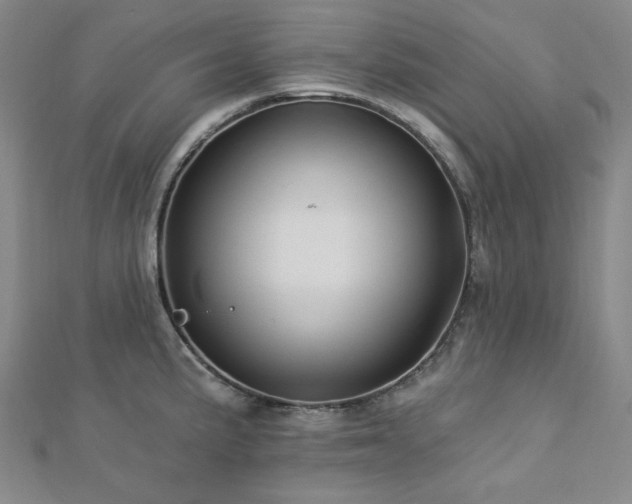 X0000113021191200908271427