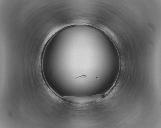 X0000113021192200908271427