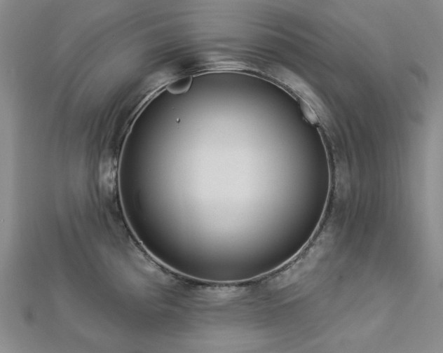 X0000113021193200908271427