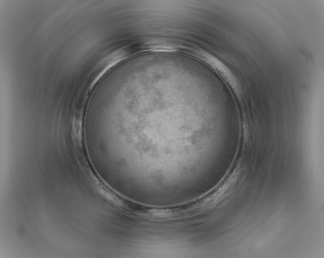 X0000113021194200908271427