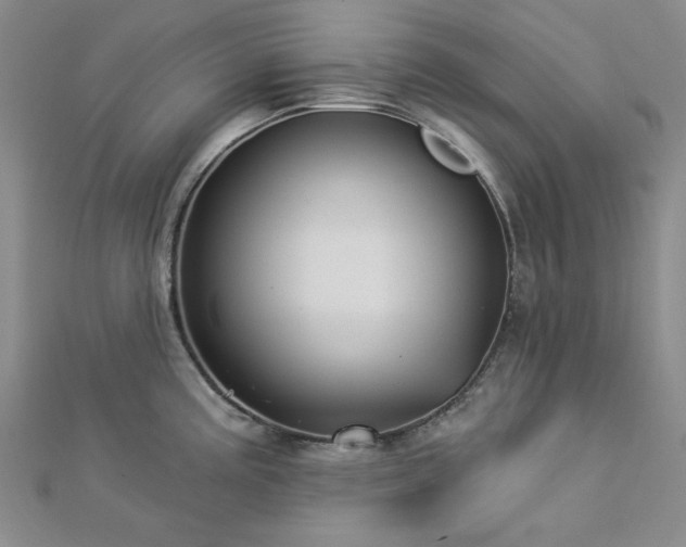 X0000113021195200908271427
