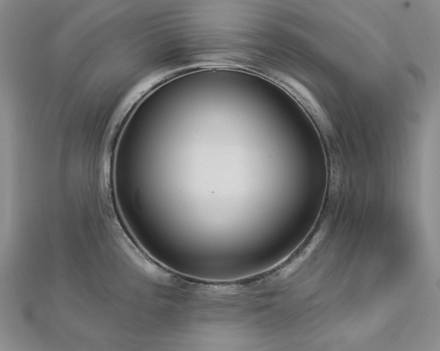 X0000113021196200908271427