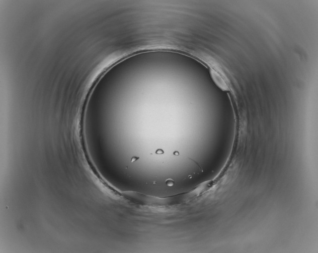 X0000113021197200908271427