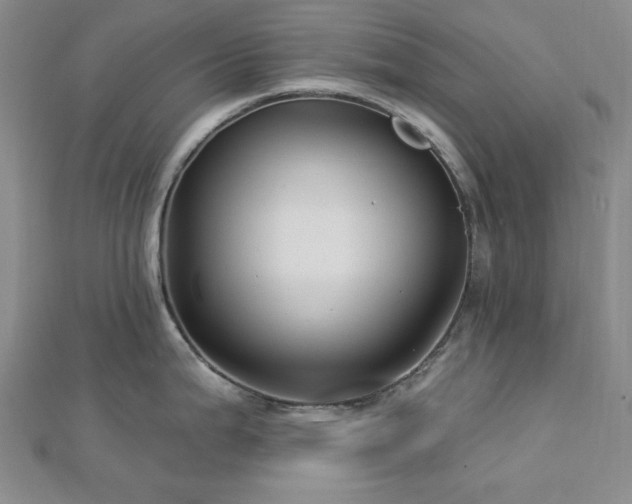 X0000113021199200908271427