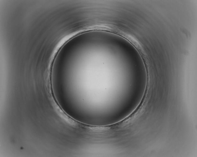 X0000113021200200908271427