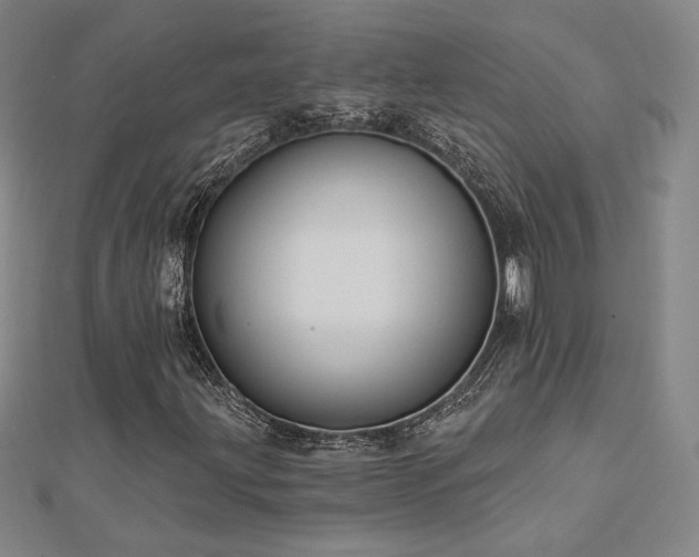 X0000113021203200908271426
