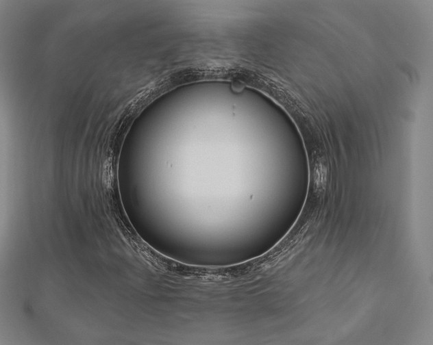 X0000113021204200908271426