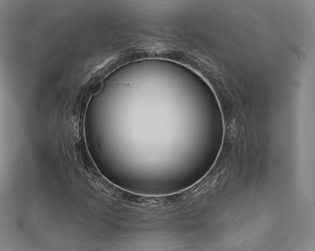 X0000113021205200908271426