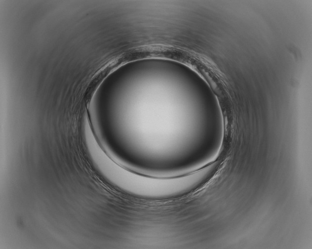 X0000113021209200908271426