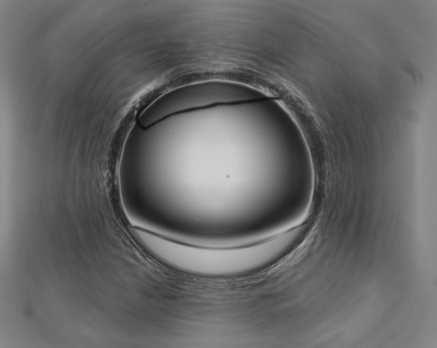 X0000113021210200908271426