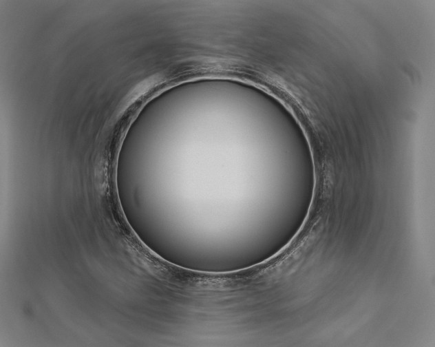 X0000113021211200908271426