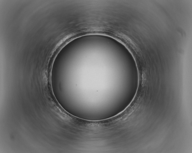 X0000113021212200908271426