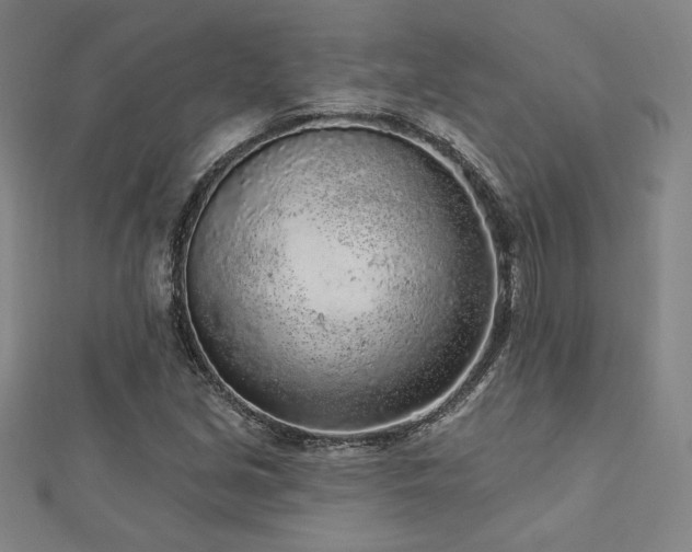 X0000113021213200908271426