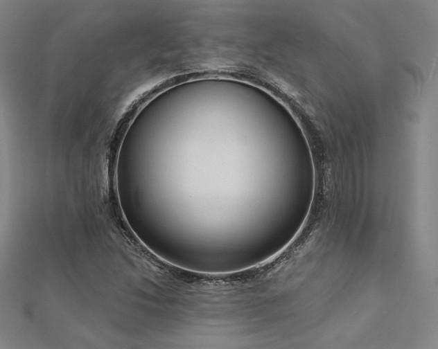 X0000113021214200908271426