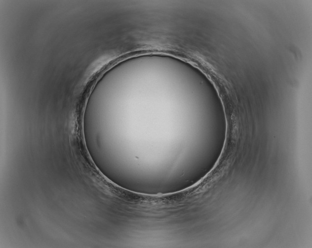 X0000113021215200908271426