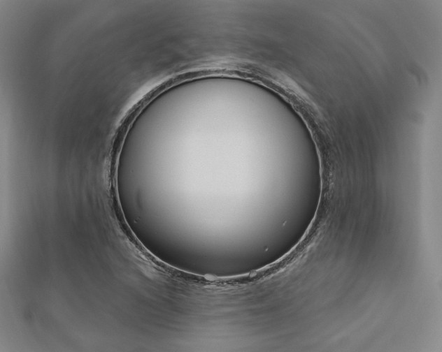 X0000113021216200908271426
