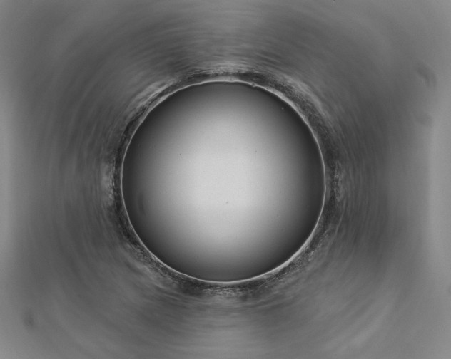 X0000113021217200908271426