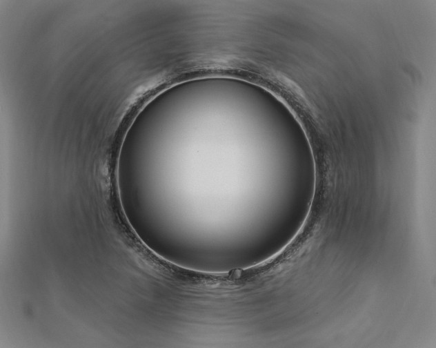 X0000113021218200908271426