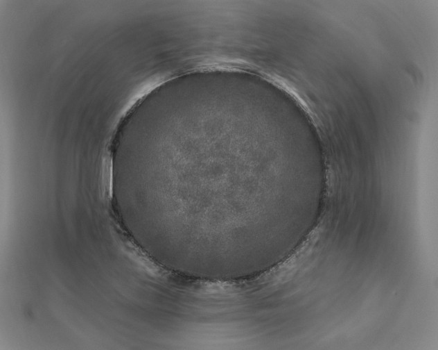 X0000113021219200908271426