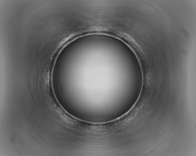 X0000113021220200908271426
