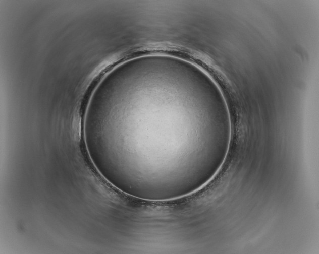 X0000113021221200908271426
