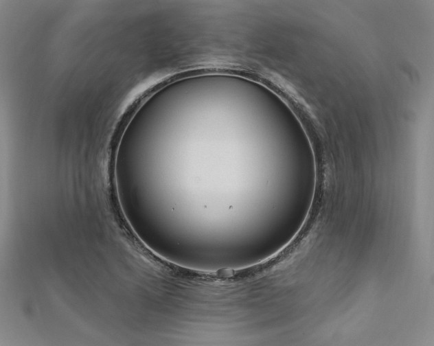 X0000113021222200908271426