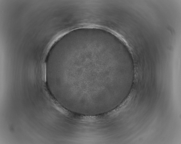 X0000113021223200908271426